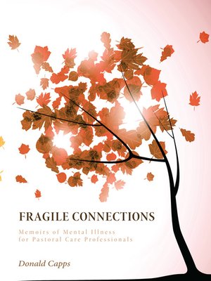 cover image of Fragile Connections